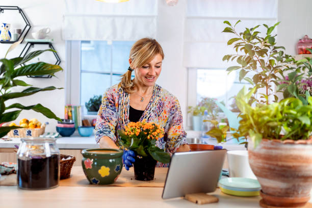 istock Taking care of houseplants 1353596517