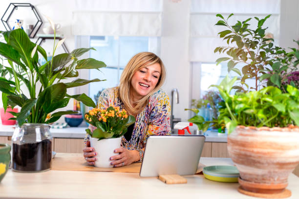 istock Taking care of houseplants 1353596598