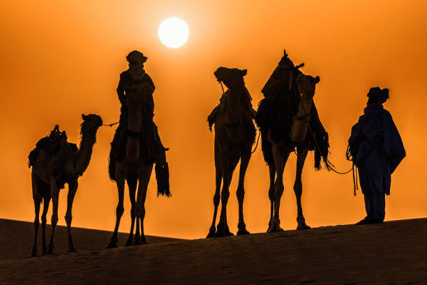 Touareg people of Algeria Touareg people of Algeria in a silhouette photo. camel train stock pictures, royalty-free photos & images