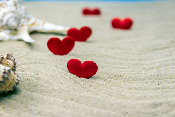 A small pink heart next to large beautiful shells on the beach against the background of the sea. A concert of great relaxation. Selective focus on the heart.