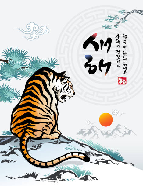 тигр наблюдает восход солнца в корейский новый год, традиционная каллиграфия, кисть, концептуальный дизайн. с новым годом, корейский перево - korea stock illustrations