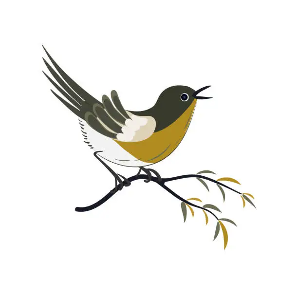 Vector illustration of Nightingale bird on the branch in oriental style isolated on a white background. A songbird sits on a flowering branch. The bird sings.