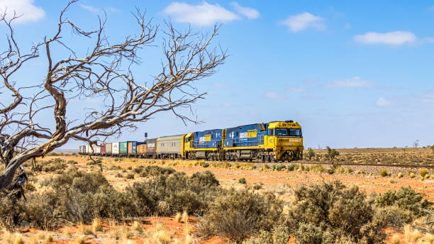 pacific national sydney nach perth intermodaler schienenverkehr mit wüstenbaumrahmen - land vehicle rail freight locomotive australia stock-fotos und bilder