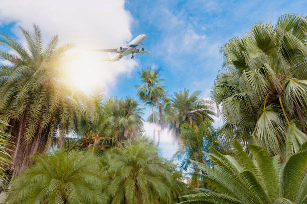 istock airplane flying over tropical palm trees. clear blue sky vacation time. 1353601974