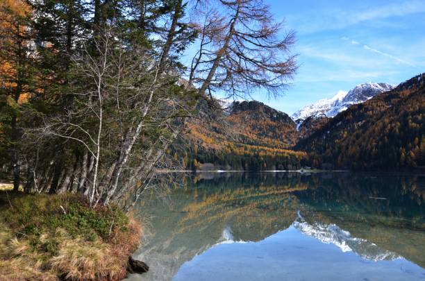istock Alpine lake in the fall 1353606243