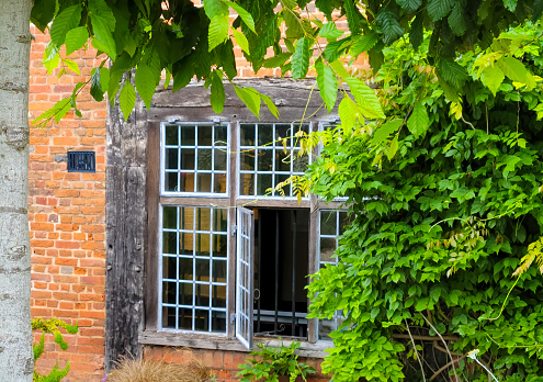 White window frame surrounded by green leaves.