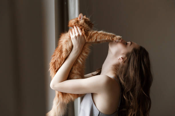 istock Young woman in nightie playing with cat 1353613431
