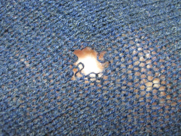 istock Sweater with holes eaten by insects 1353613594