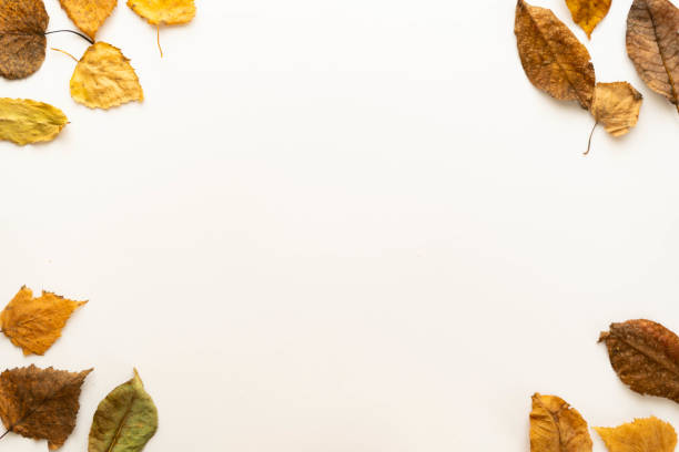 istock Flat lay composition frame of autumn leaves. autumn layout. place under the text 1353614760