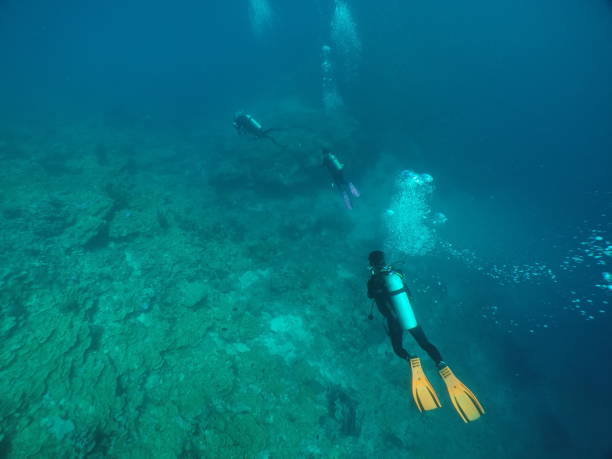 Scuba diving with Manta ray in Pohnpei, Micronesia