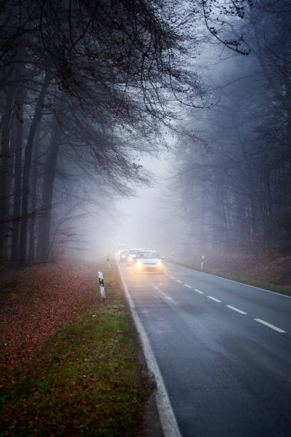 istock Autumnal road through forest - fog 1353618941