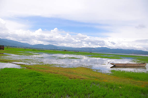 belo lago - lijiang landscape wetland marsh - fotografias e filmes do acervo