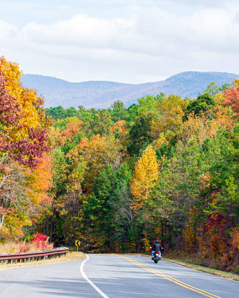 istock Motorcycle rider in Appalachia during fall 1353623237