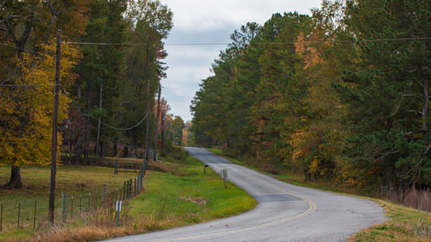istock Rural country road 1353623306