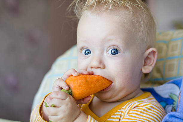 Little boy and a too big carrot stock photo