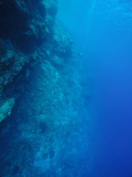 istock Scuba diving with Manta ray in Yap, Micronesia 1353626073