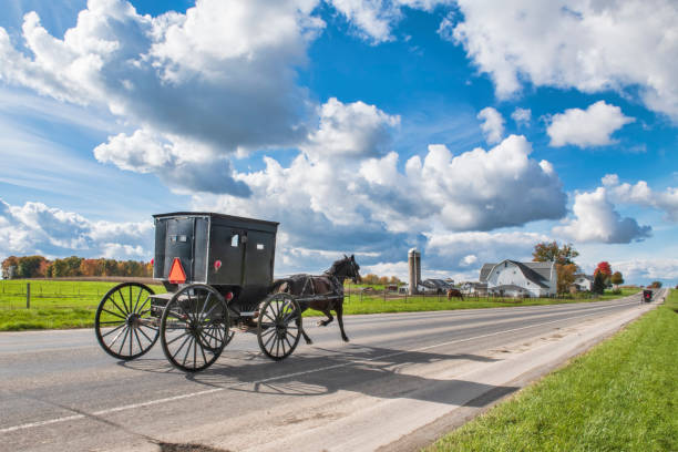 istock Amish Horse and Buggy and Cloudy Sky 1353629354