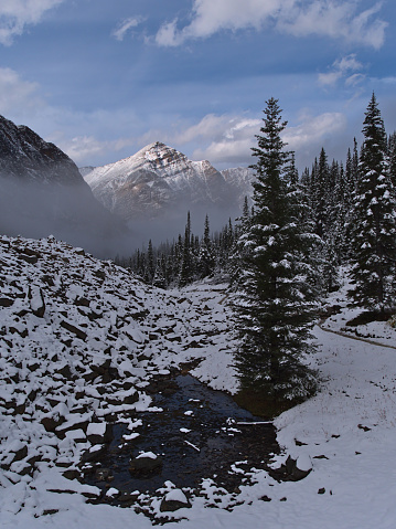 Beautiful view of Edith Cavell Meadows Trail in Jasper National Park, Alberta, Canada after first snow in autumn with coniferous trees and Franchere Peak above cloud-covered valley in the Rockies.