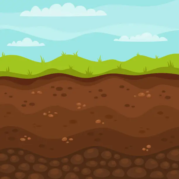 Vector illustration of structure of soil layers with grass on surface