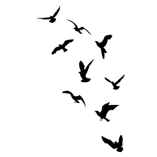 istock Silhouette set of flying seagulls birds on white background. Inspirational body flash tattoo ink of sea birds. Vector. 1353636061
