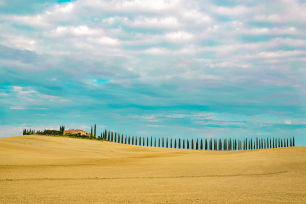 poggio covili 3 - val dorcia fotografías e imágenes de stock