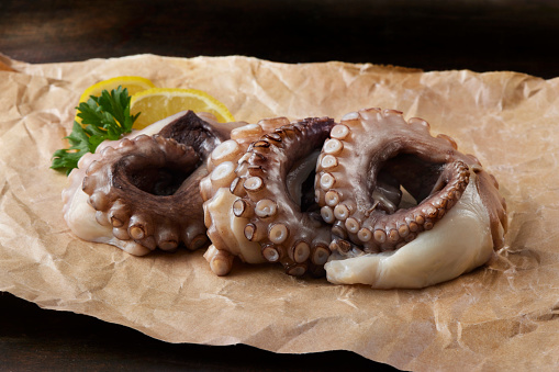 Raw Octopus  on Butcher Paper