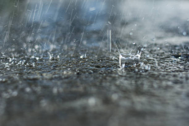 istock large splashes of raindrops on a puddle close-up 1353641032