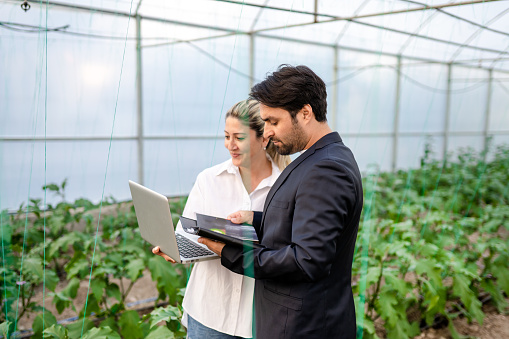 Two young modern farmers working with laptop in greenhouse and having business talk with each other while checking crops