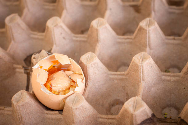 Bad rotten eggs to eat