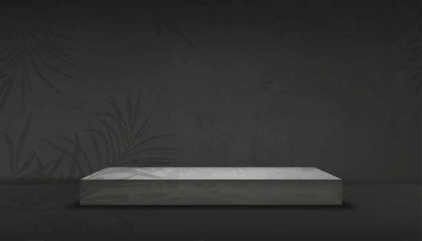 istock Empty Studion room with podium and palm leaves on grey wall,Background Gray Cement texture of floor, Vector 3D Backdrop of Gray Concrete surface with cracked texture. Banner for loft design 1353647052
