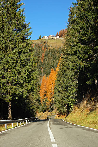 горная дорога - day autumn beauty in nature belluno стоковые фото и изображения