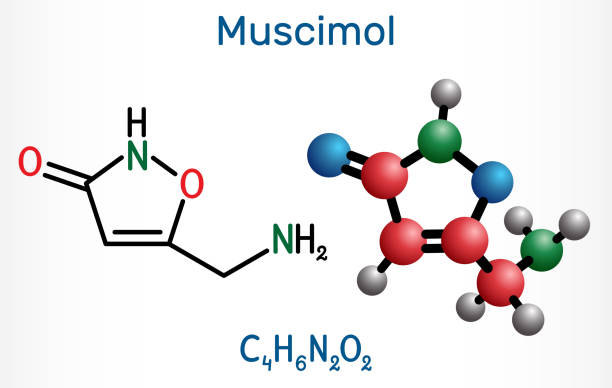 istock Muscimol, agarin, pantherine molecule. It is the main psychoactive component of the Amanita muscaria, red fly agaric and related species of mushrooms. Structural chemical formula, molecule model 1353651108