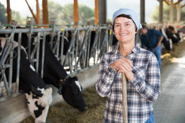 istock Confident female farmer on cow farm 1353652464