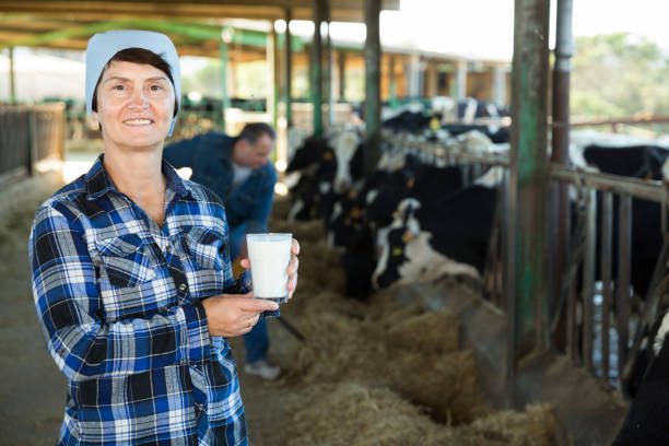 istock Confident female milker with milk on dairy farm 1353652472