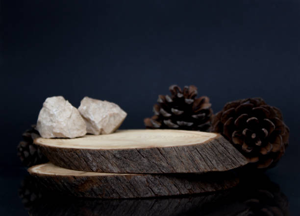 istock two wood logs or stumps on the dark Background with empty space for text. 1353652534