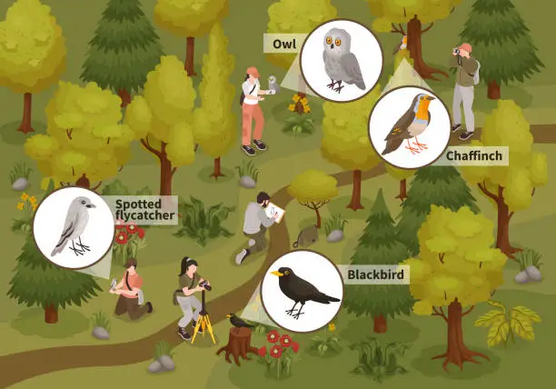 Vector illustration of Ornithologist Birds Isometric Composition