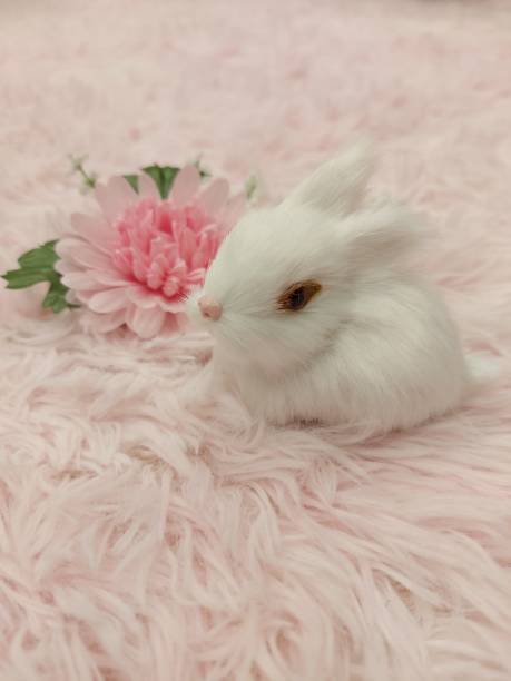il coniglio bianco e il fiore rosa. - 16340 foto e immagini stock