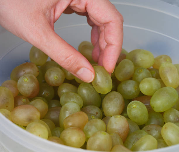 istock A woman taking a freshly harvested and washed grape from a bowl 1353656865