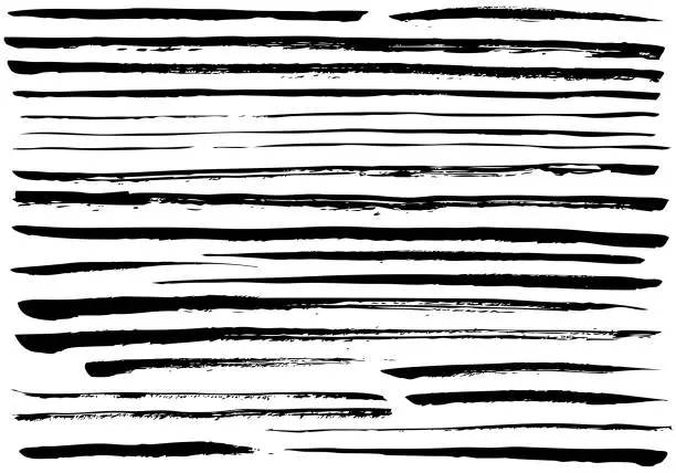 Vector illustration of Grunge black paint vector lines