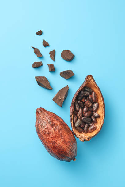 istock Cocoa pods with beans and chocolate 1353661585