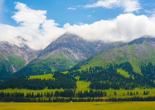 istock Beautiful mountain ridge. Summer day in mountains on a cloudy day 1353662723