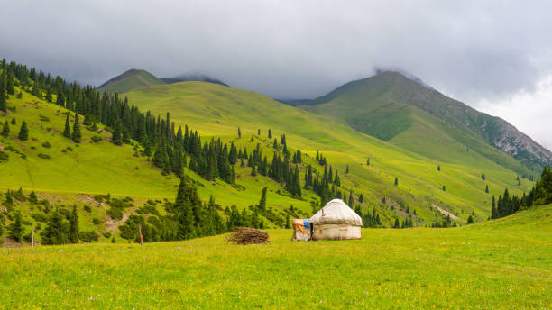 伝統的なカザフスタンユルトと夏の牧草地を繁殖馬 - カザフスタン ストックフォトと画像