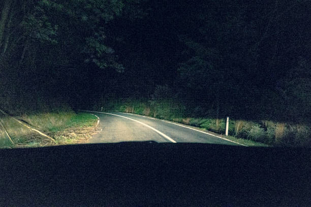 istock Drive through a forest in Australia in the dark. 1353663039