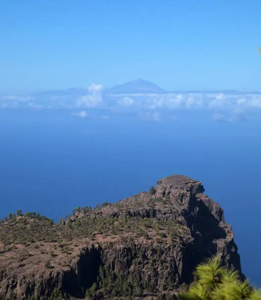 Photo of Gran Canaria, landscape of the mountainous part of the island in the Nature Park Tamadaba