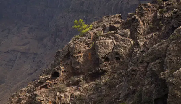 Photo of Gran Canaria, landscape of the mountainous part of the island in the Nature Park Tamadaba