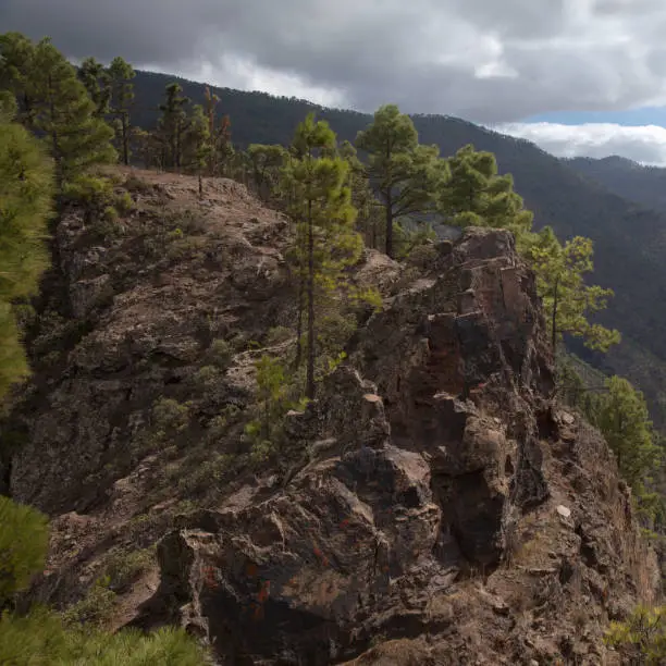 Photo of Gran Canaria, landscape of the mountainous part of the island in the Nature Park Tamadaba