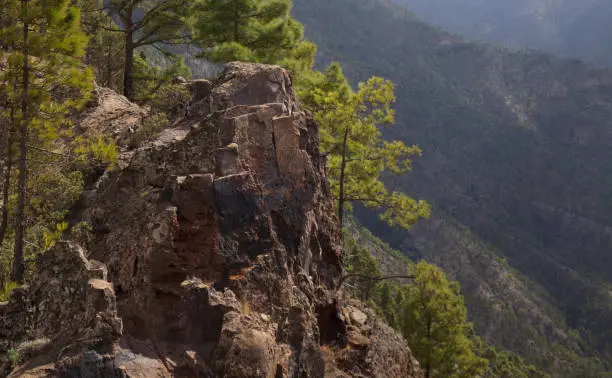 Photo of Gran Canaria, landscape of the mountainous part of the island in the Nature Park Tamadaba