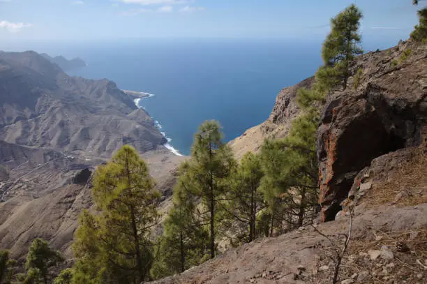 Photo of Gran Canaria, landscape of the mountainous part of the island in the Nature Park Tamadaba