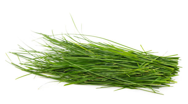 istock Bunch of green grass. 1353668029