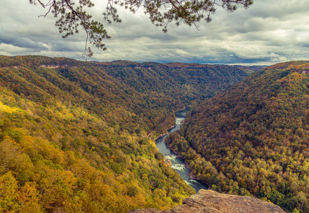 istock Color in New River Gorge National Park 1353669265